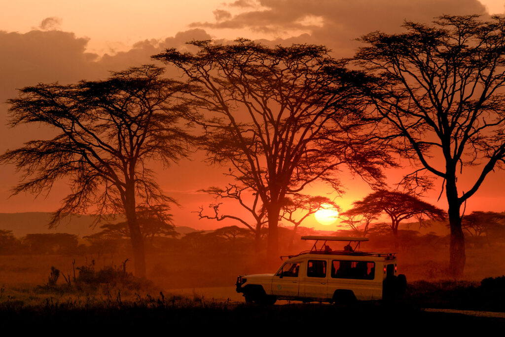 Golden hour game drive