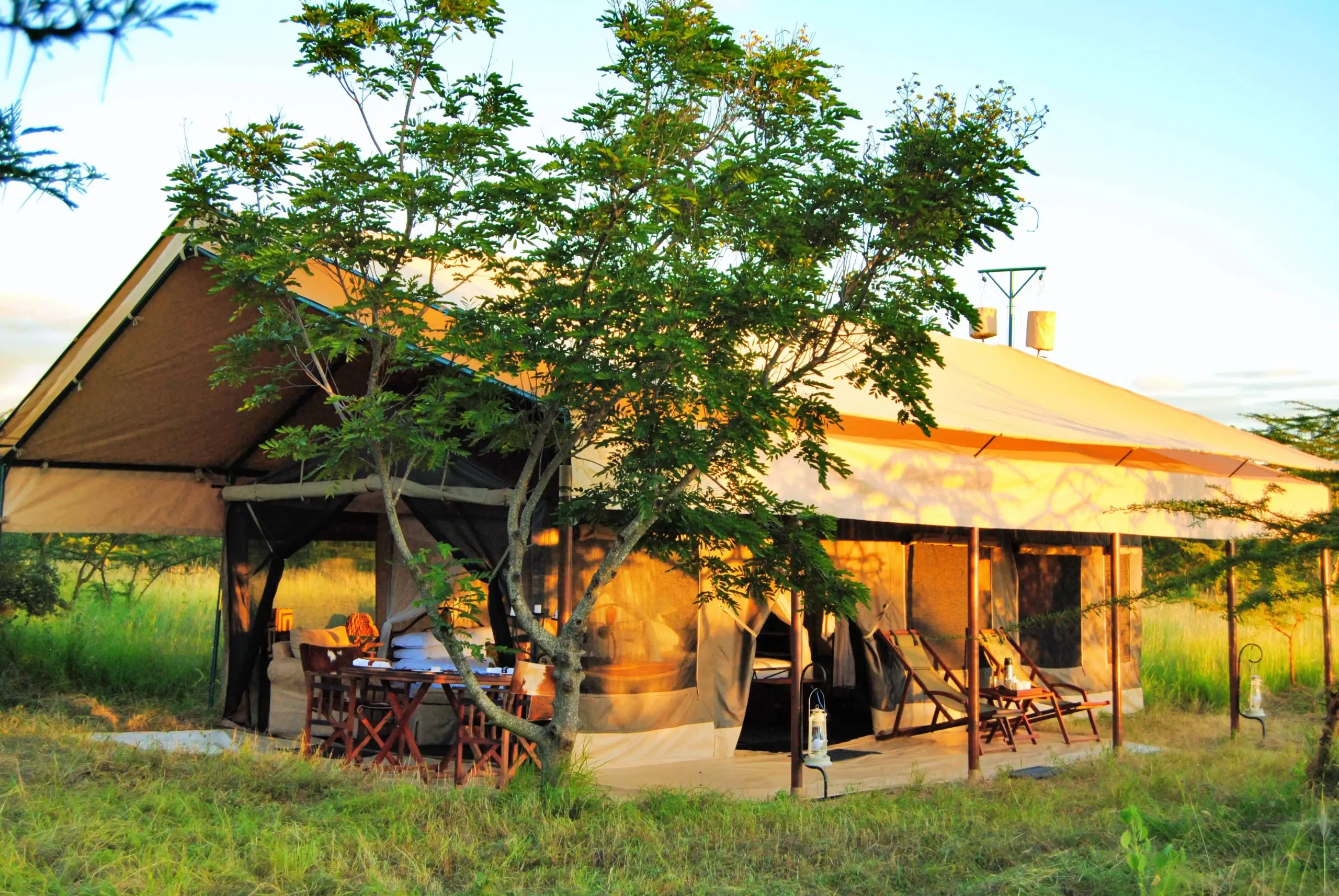 Great Migration mobile camping experience