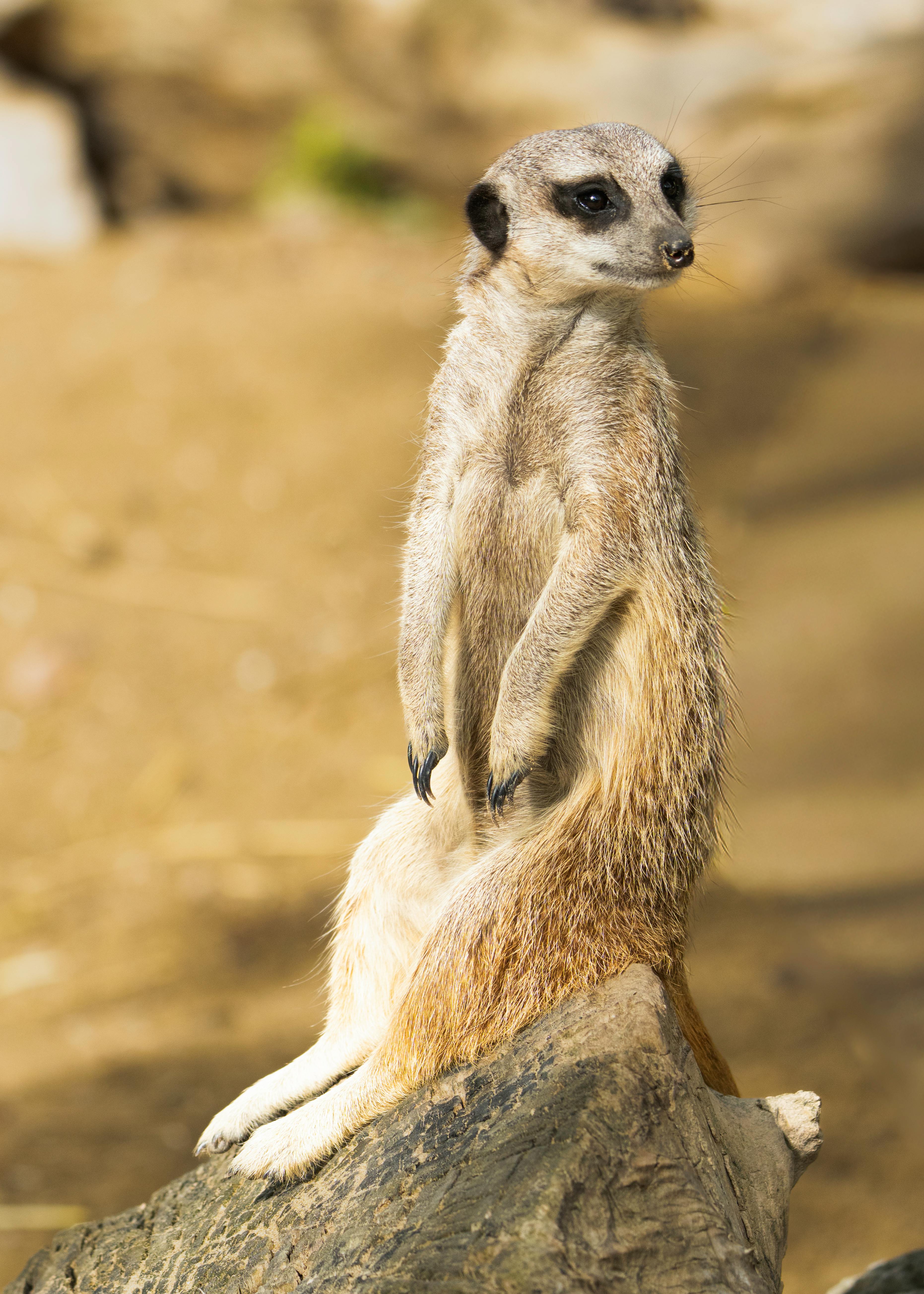 Ngorongoro Crater landscape