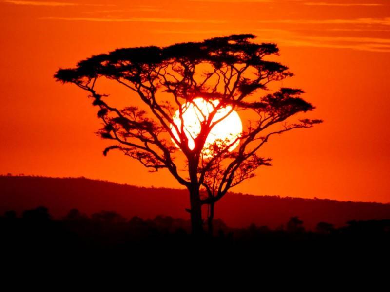 Serengeti sunrise
